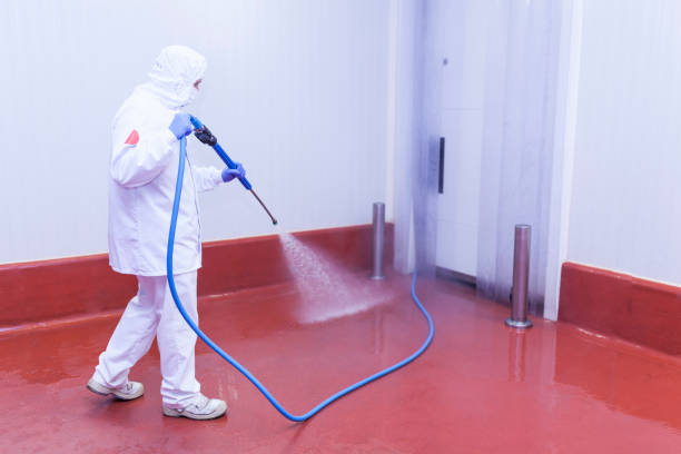 Reliable Spring Lake Heights, NJ Pressure Washing Services Solutions